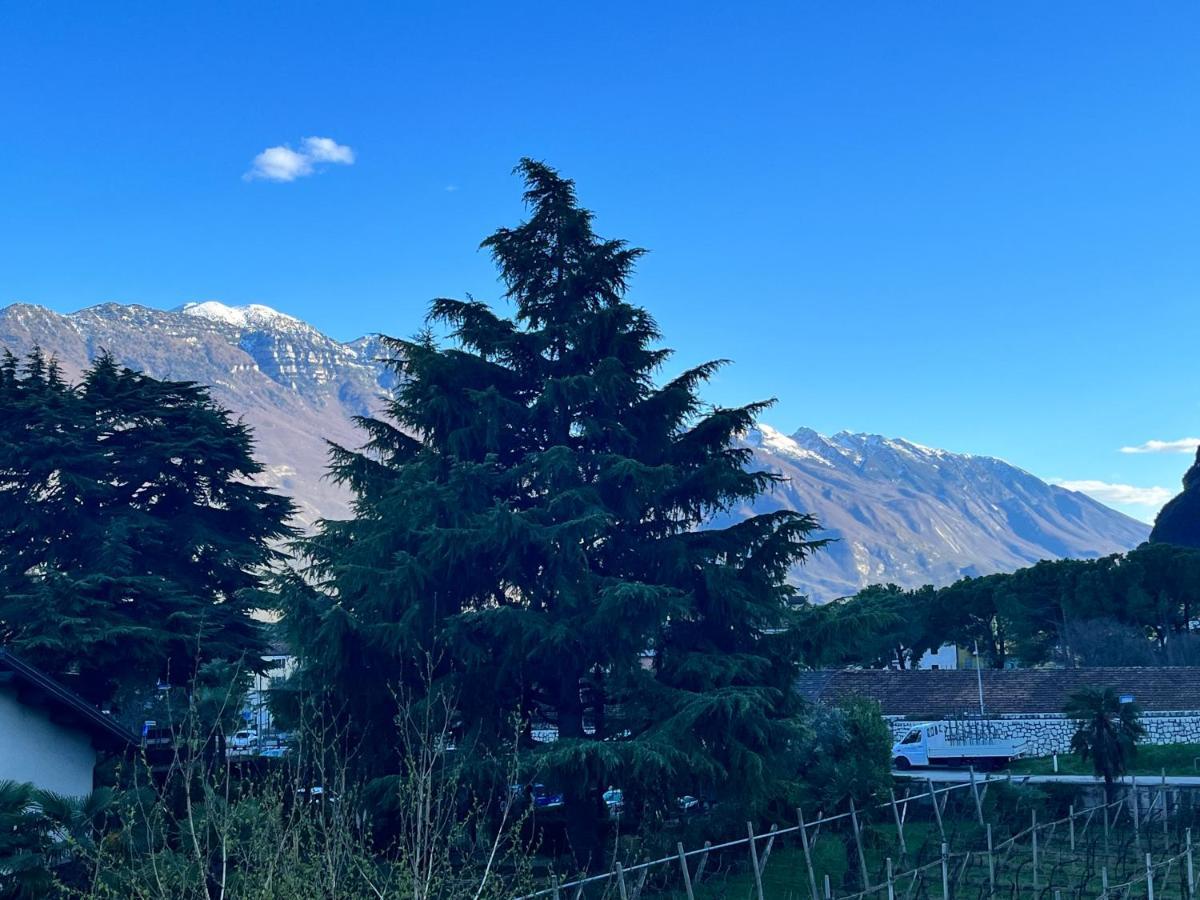 Albola Suite Holiday Apartments Riva del Garda Kültér fotó