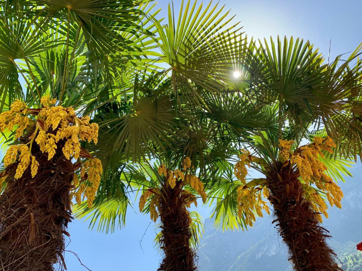Albola Suite Holiday Apartments Riva del Garda Kültér fotó